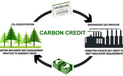 Carbon Credit trading Platform